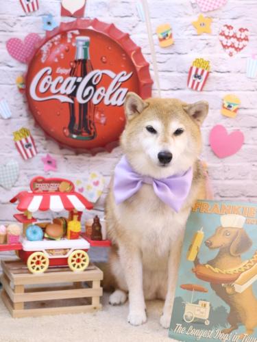 20230918こはるちゃん